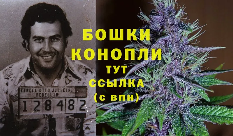 Конопля LSD WEED  Шарыпово 